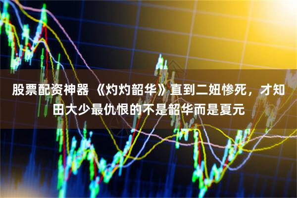 股票配资神器 《灼灼韶华》直到二妞惨死，才知田大少最仇恨的不是韶华而是夏元